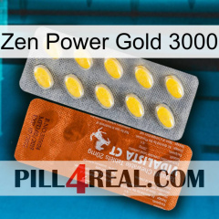 Zen Power Gold 3000 42